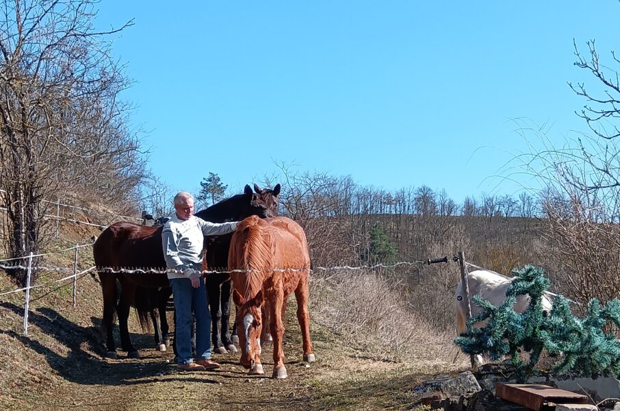 Čtvrtletní zpravodaj 2/25