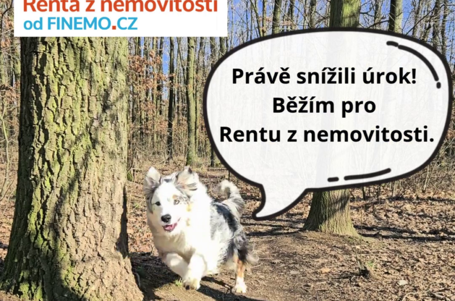 Snižujeme úrokovou sazbu na 9,9% p.a.
